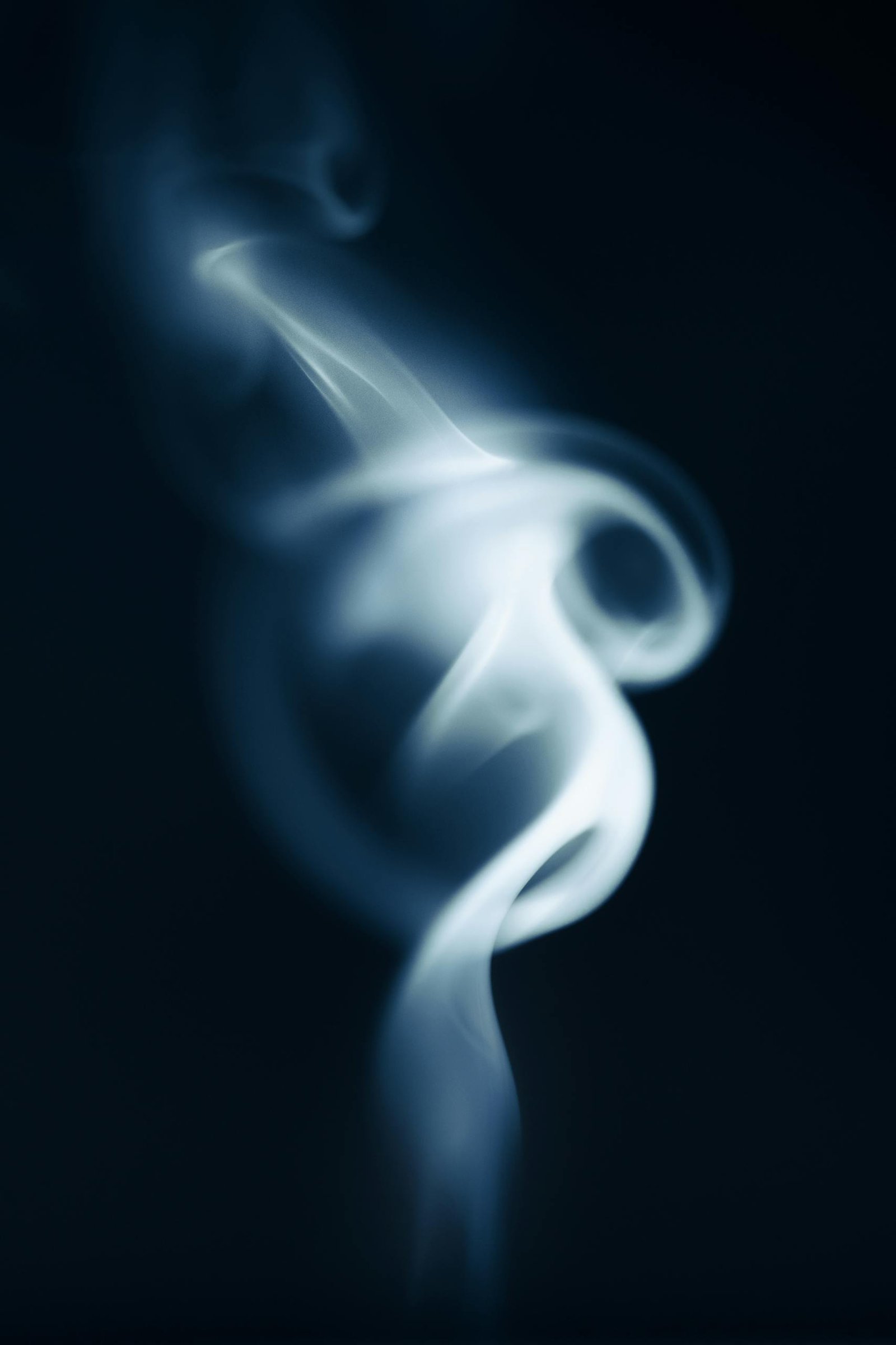 Ethereal white smoke swirls on a dark background, creating a mysterious and artistic abstract form.